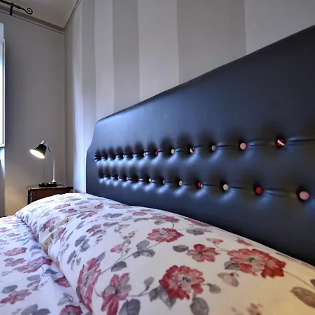 Maccari * Кортона